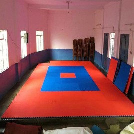 EVA Interlocking Karate Mat