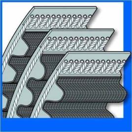 Fenner Continental Synchroforce CXA And CXP Transmission Belt