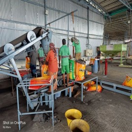 Fertilizer Bagging Machine