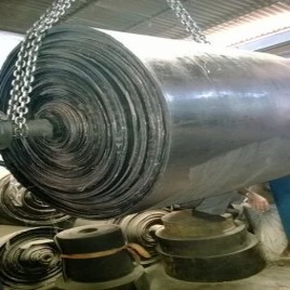 Fire Resistant Conveyor Belts