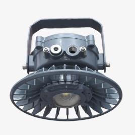 Flameproof Light Fittings