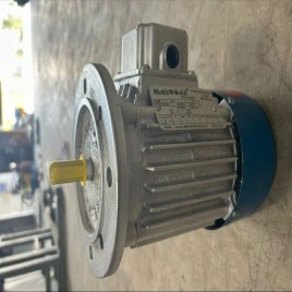 Flange Motors, 2 HP