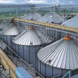 Flat Bottom Silos