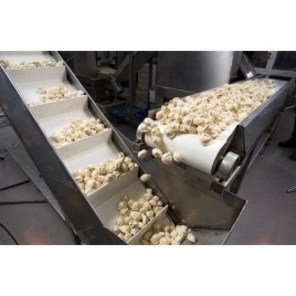 Food Grade PVC Conveyor Belt, Belt Width: 500 mm, Belt Thickness: 10 mm