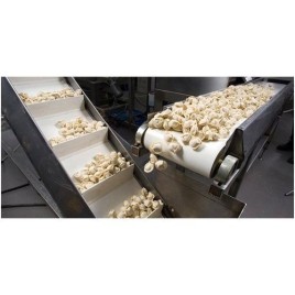 Food Industry Conveyor, 220V