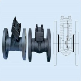 Forged Check Valve Flange End, Valve Size: 2 inch