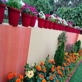 Front Yard Grass Landscaping Contractors, Al Tayps, Coverage Area: <1000 Square Feet