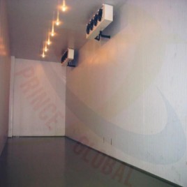 Frozen Fish & Meat Stores