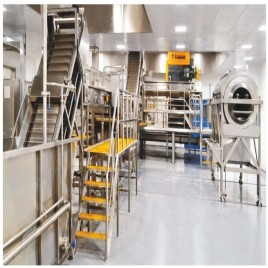 Fruit Juice Pulp Concentration Plants, 100 bottle/min