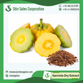 Garcinia Cambogia Extract, Packaging Type: Container, Pack Size: 5 Kg