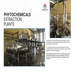 Garlic Oleoresin Extraction Plant Manufacturing plant, Capacity: 100 TPD