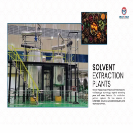 Garlic Oleoresin Extraction Plant Manufacturing plant, Capacity: 100 TPD