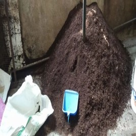 Gas Sanitary Napkin Solid Waste Disposal Service, Capacity(kg/batch): 50 kg/batch