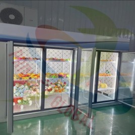 Glass Door Display Cold Room