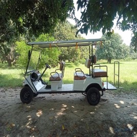 Golf Cart