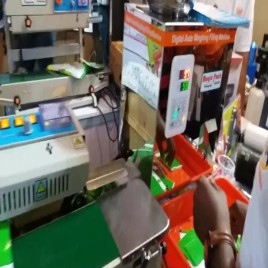 Granule Filling Machine 1g to 100g