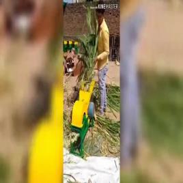 Grass Compact Chaff Cutter