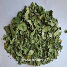 Green Dry Moringa Dried Leaves, Packaging Type: Bag, Packaging Size: 15 Kg