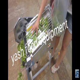 Green Pea Peeling Machine(matur chhilne ki machine), Capacity: upto 20 kg/hr
