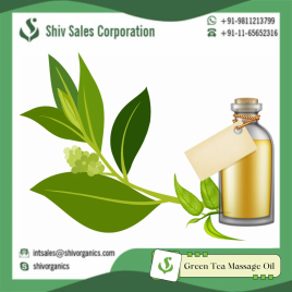 Green Tea Massage Oil