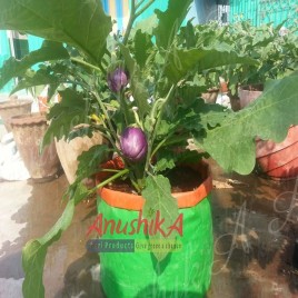 Green/orange Round Hdpe Grow Bag 18"" X 12""(200 Gsm), For Terrace Gardening