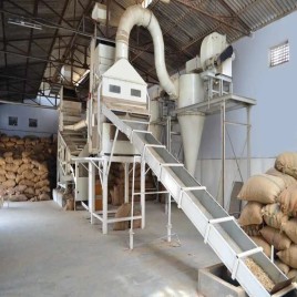 Groundnut Cleaning Plant, More Than 50 TPH