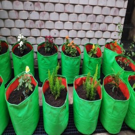 Grow bag 12x12 Herbal Plant bags