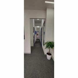 Gypsum Wall Partition Service, 75 mm