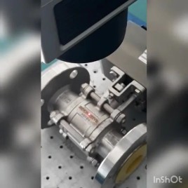 Hardware Laser Marking Machine