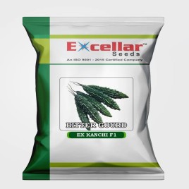 Hybrid Bitter Gourd EX KANCHI F1 Seeds, Packaging Type: Packet 10 GRAMS