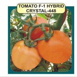 Hybrid Tomato Seed F1 Crystal 448