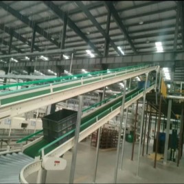 IC Stainless Steel Roller Conveyor System, Capacity: 1-50 Kg/M