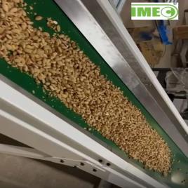 IMEC / TROUGH BELT CONVEYORS, Load Capacity: 200 kg