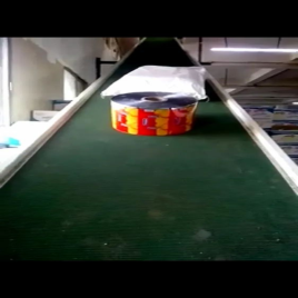 Inclined Belt Conveyor