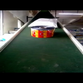 Inclined Belt Conveyor