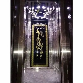 Indoor Home Elevator, Capacity: 200-1000 kg, Maximum Speed: 1 Meter /Sec