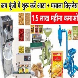 Industrial Masala Grinder, 150 kg/hr