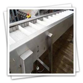 Inspection Conveyor Belt