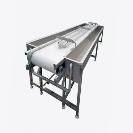 Inspection Conveyor Machine, Load Capacity: 200 kg