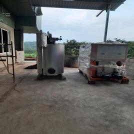 Inula Racemosa Extract plant Manufacturers, Capacity: 10 TPD