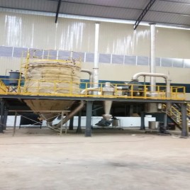 Inula Racemosa Extract plant Manufacturers