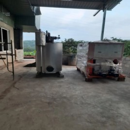 Inula Racemosa Extract plant Manufacturers