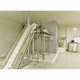 Iqf Frozen Line Food Processing Machinery