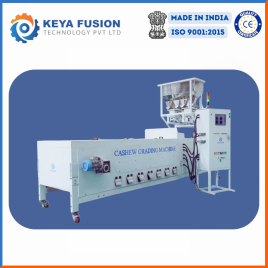 Kaju kernel Grading Machine, Capacity: 100 Kg/hr