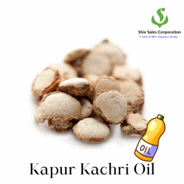 Kapur Kachari Oil