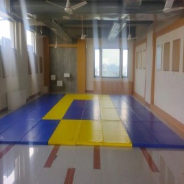 Keepfit Judo Mats, Model Name/Number: KFTJUDO50