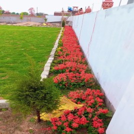 Landscape   Design