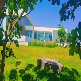 Landscaping Garden Maintenance