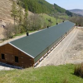 Light Gauge Steel Construction PUF PANEL Poultry Farm Shed Services