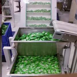 Link Belt Conveyor
